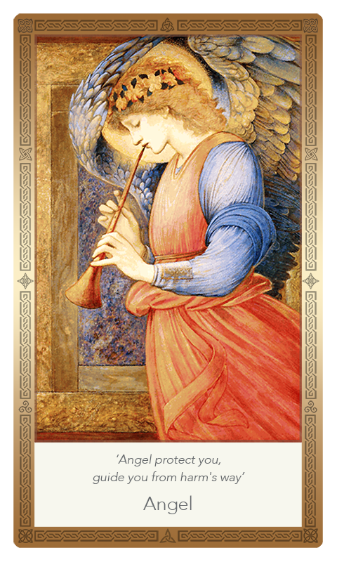 ‘Angel’