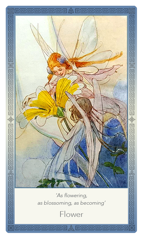 ‘Flower’