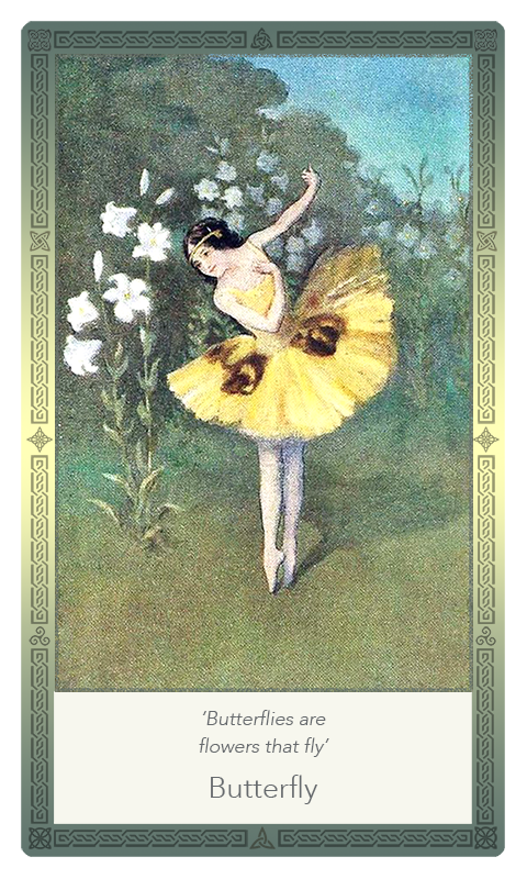 ‘Butterfly’