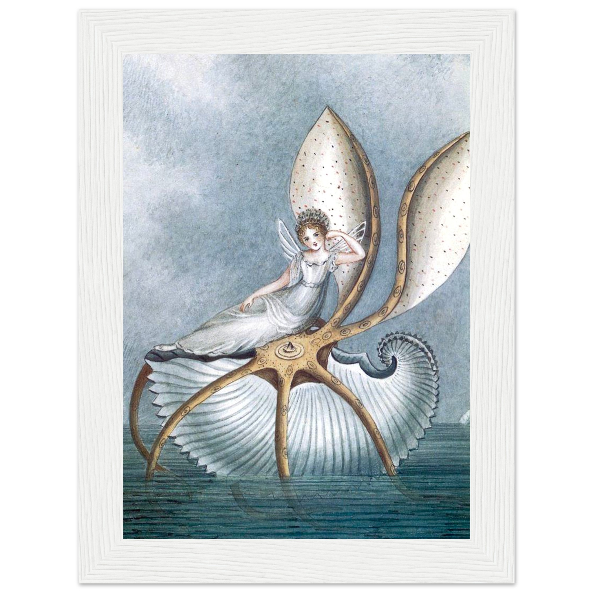 ‘Nautilus Fairy’ 5 x 7 Wooden Framed Print