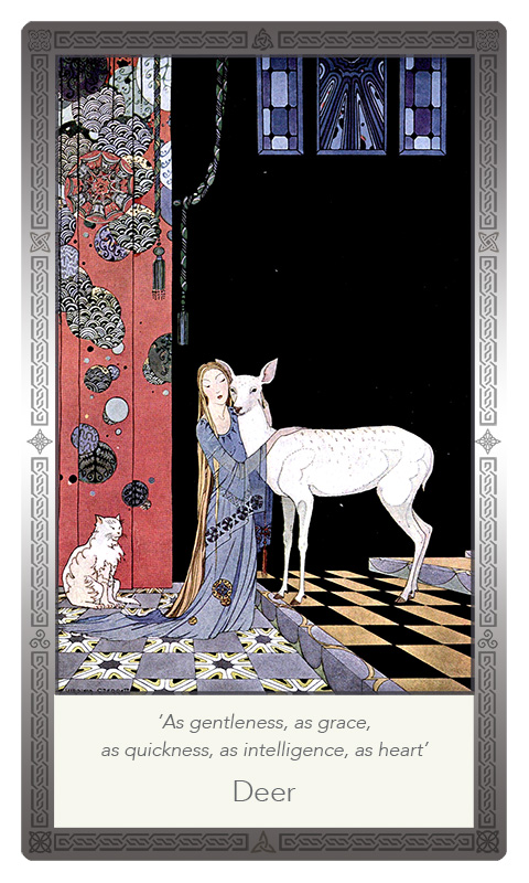 ‘Deer’