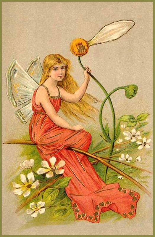 Of Fairies and Daisies Postcards