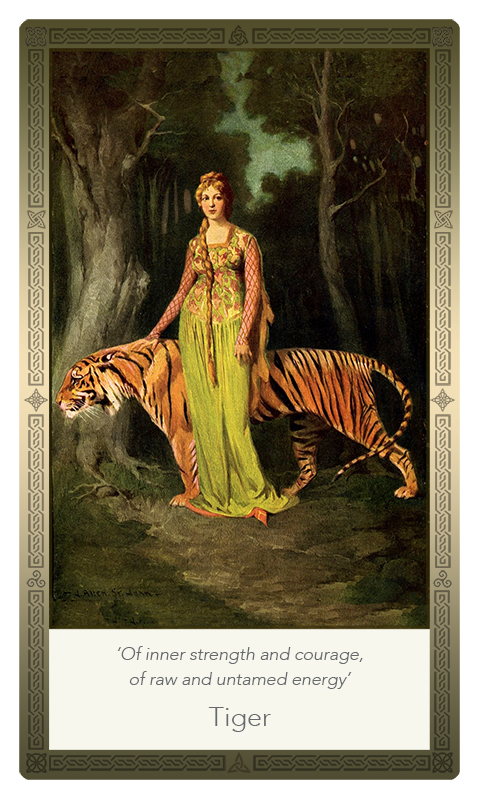 ‘Tiger’