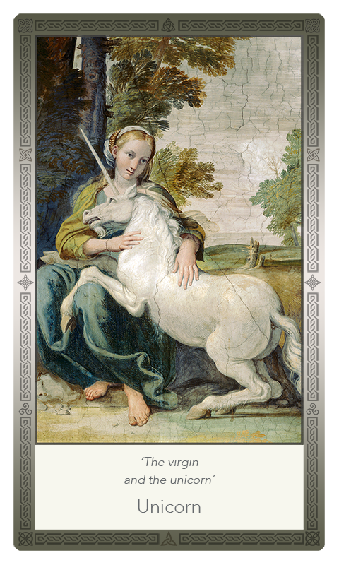 ‘Unicorn’