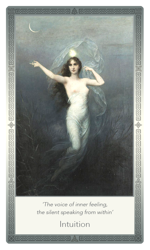 ‘Intuition’