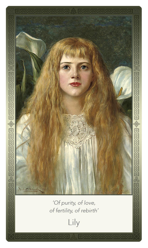 ‘Lily’