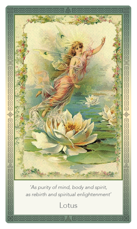 ‘Lotus’