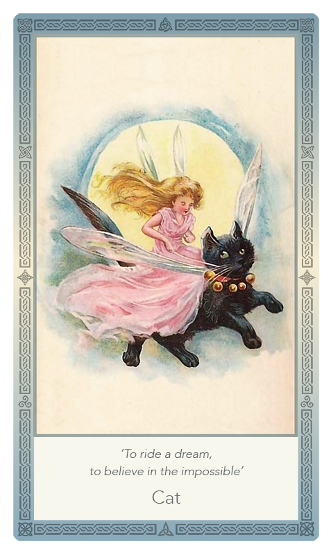 ‘Cat’