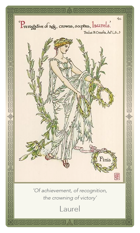 ‘Laurel’