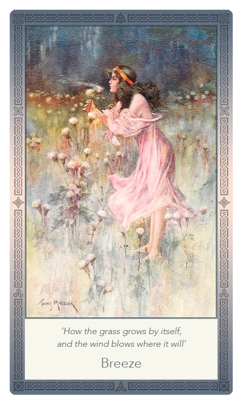 ‘Breeze’