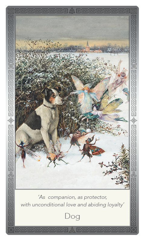 ‘Dog’