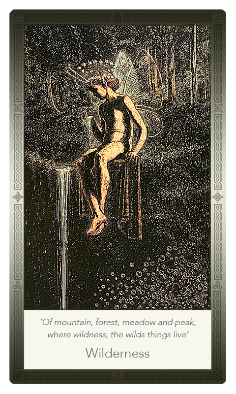 ‘Wilderness’