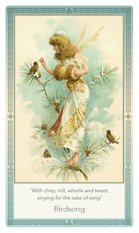 ‘Birdsong’