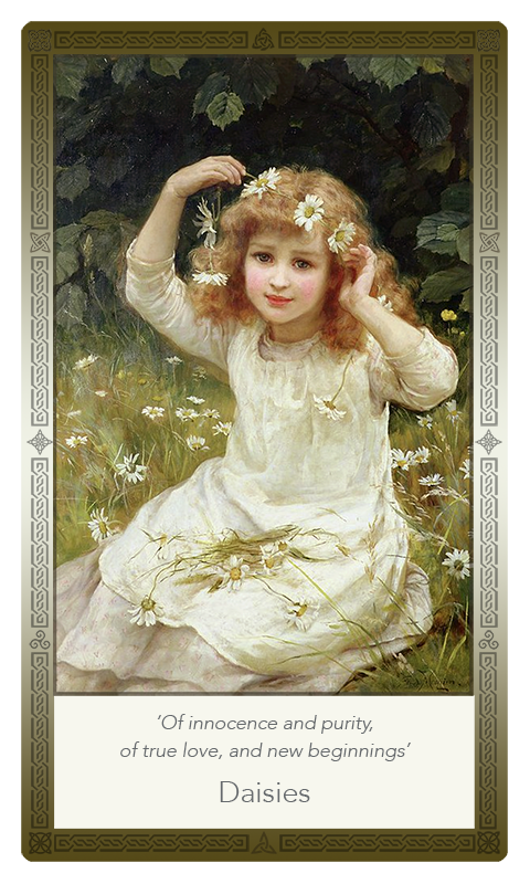 ‘Daisies’